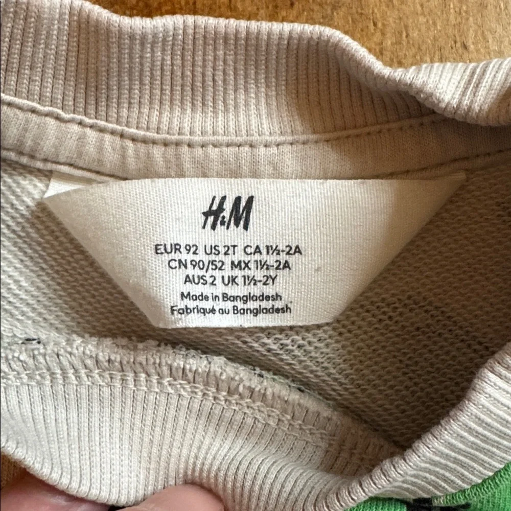 H&M Cream graphic Sweatshirt 2T Green Dinosaur crew neck unisex cotton